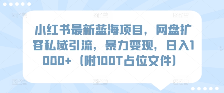 小红书最新蓝海项目,网盘扩容私域引流,暴力变现,日入1000+(附100T占位文件)-轻创社项目网