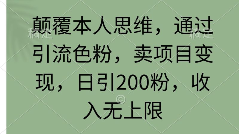 (9523期)颠覆本人思维,通过引流色粉,卖项目变现,日引200粉,收入无上限-轻创社项目网