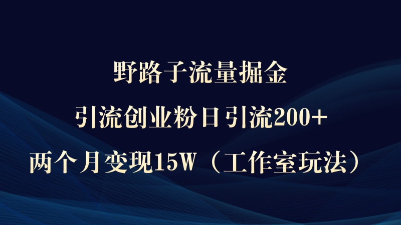 (9513期)野路子流量掘金,引流创业粉日引流200+,两个月变现15W(工作室玩法))-轻创社项目网