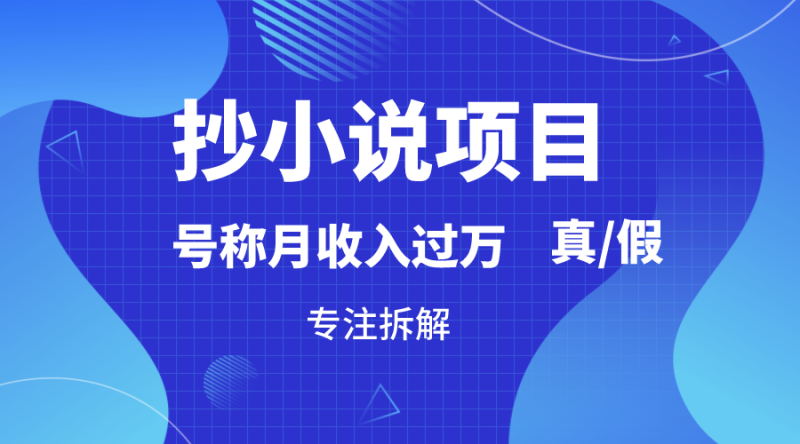 抄小说项目,号称月入过万,到底是否真实,能不能做,详细拆解-轻创社项目网