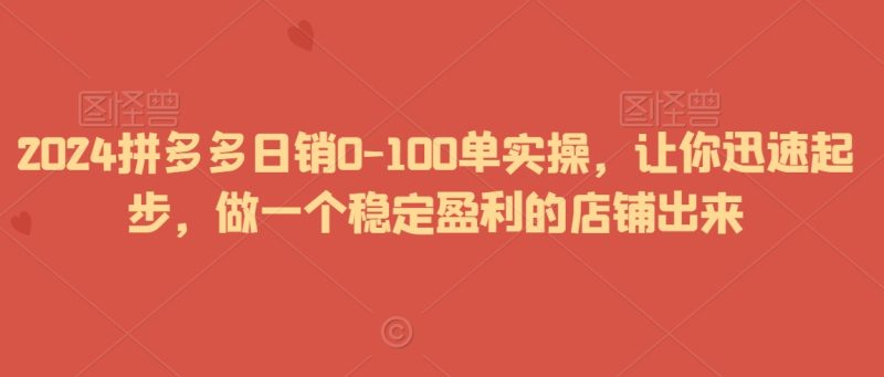 2024拼多多日销0-100单实操,让你迅速起步,做一个稳定盈利的店铺出来-轻创社项目网