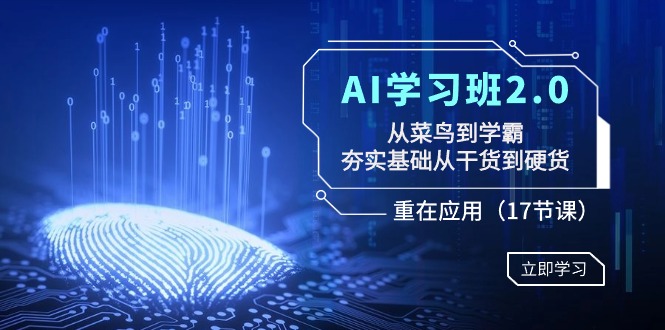 AI学习班2.0：从菜鸟到学霸，夯实基础从干货到硬货，重在应用（17节课）-轻创社项目网