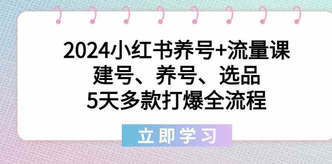 2024小红书养号+流量课：建号、养号、选品，5天多款打爆全流程-轻创社项目网