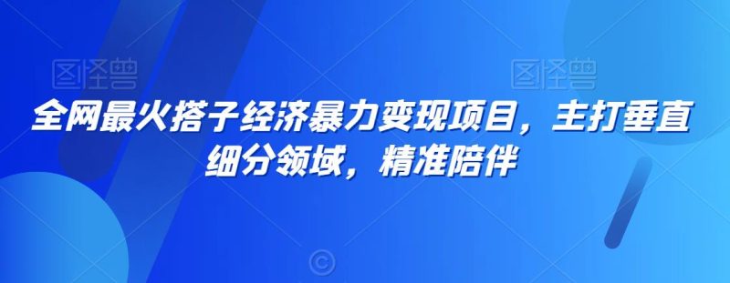 全网最火搭子经济暴力变现项目,主打垂直细分领域,精准陪伴-轻创社项目网