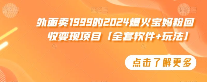 外面卖1999的2024爆火宝妈粉回收变现项目【全套软件+玩法】-轻创社项目网