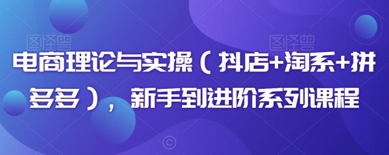 电商理论与实操(抖店+淘系+拼多多),新手到进阶系列课程-轻创社项目网