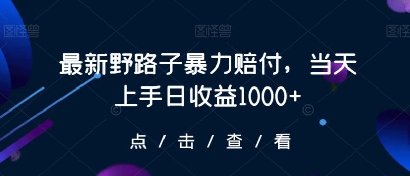 最新野路子暴力赔付,当天上手日收益1000+【仅揭秘】-轻创社项目网