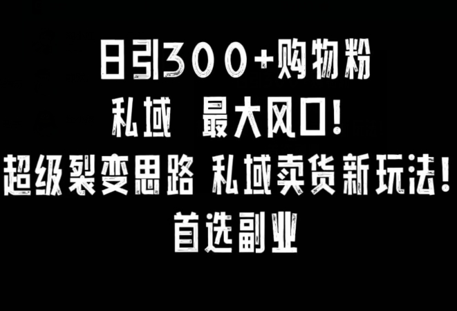 日引300+购物粉,超级裂变思路,私域卖货新玩法,小红书首选副业-轻创社项目网