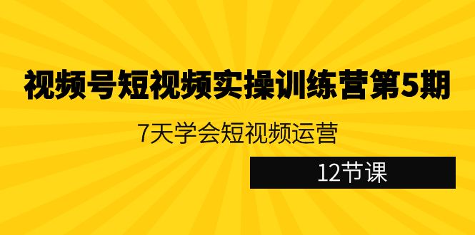 视频号短视频实操训练营第5期:7天学会短视频运营(12节课)-轻创社项目网
