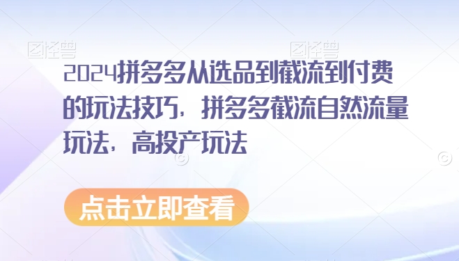 2024拼多多从选品到截流到付费的玩法技巧,拼多多截流自然流量玩法,高投产玩法-轻创社项目网