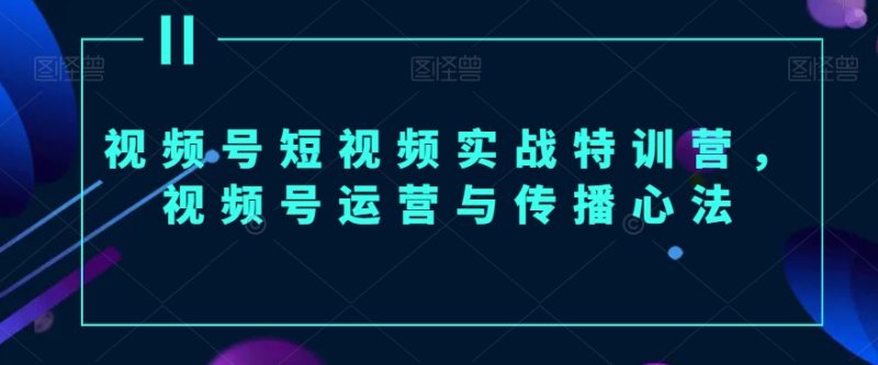 视频号短视频实战特训营,视频号运营与传播心法-轻创社项目网