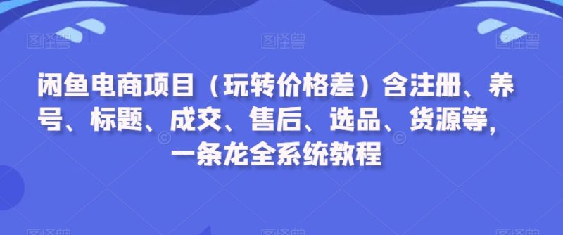 闲鱼电商项目(玩转价格差)含注册、养号、标题、成交、售后、选品、货源等,一条龙全系统教程-轻创社项目网