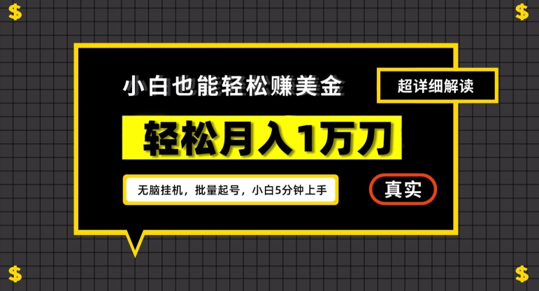 谷歌看广告撸美金2.0,无脑挂机,多号操作,月入1万刀-轻创社项目网