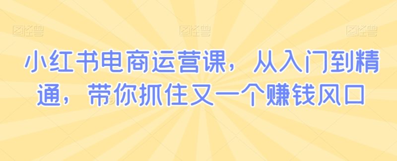 小红书电商运营课,从入门到精通,带你抓住又一个赚钱风口-轻创社项目网