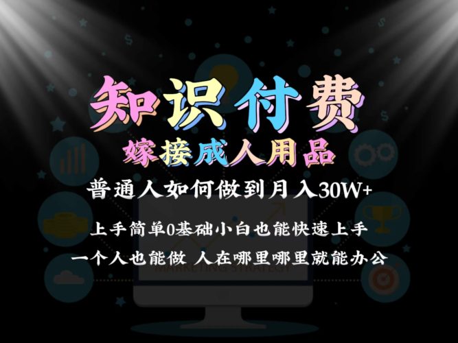 2024普通人做知识付费结合成人用品如何实现单月变现30w➕保姆教学1.0-轻创社项目网