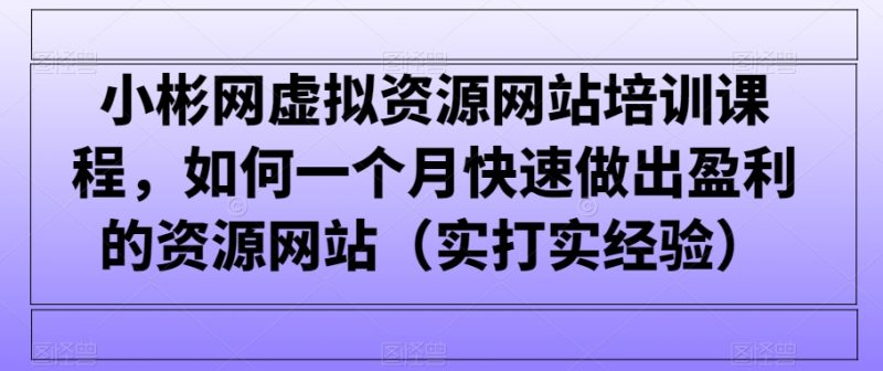小彬网虚拟资源网站培训课程,如何一个月快速做出盈利的资源网站(实打实经验)-轻创社项目网