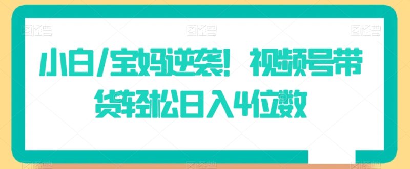 小白/宝妈逆袭!视频号带货轻松日入4位数-轻创社项目网