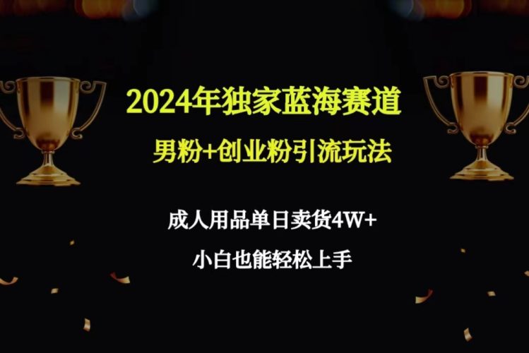 (9111期)2024年独家蓝海赛道男粉+创业粉引流玩法,成人用品单日卖货4W+保姆教程-轻创社项目网