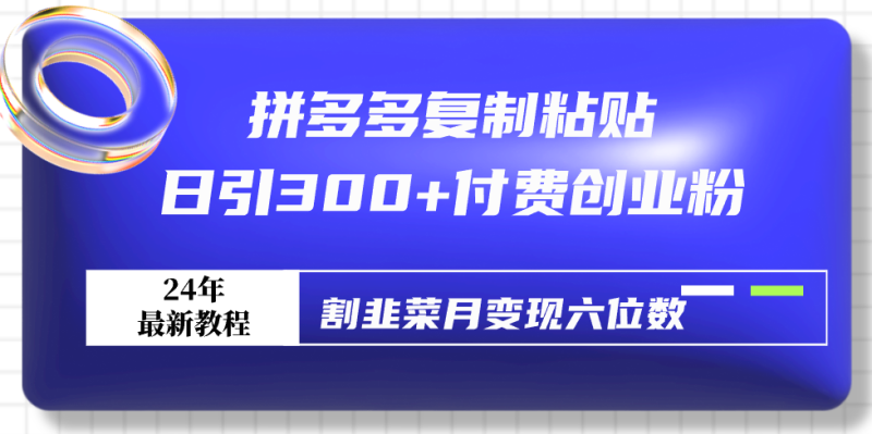 (9129期)拼多多复制粘贴日引300+付费创业粉,割韭菜月变现六位数最新教程!-轻创社项目网