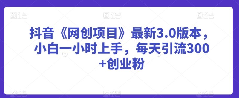 抖音《网创项目》最新3.0版本,小白一小时上手,每天引流300+创业粉-轻创社项目网
