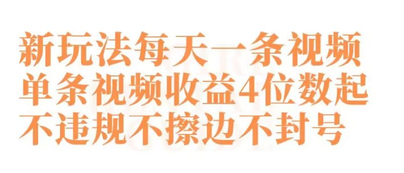 快手新玩法每天一条视频单条视频收益4位数起不违规不擦边不封号-轻创社项目网