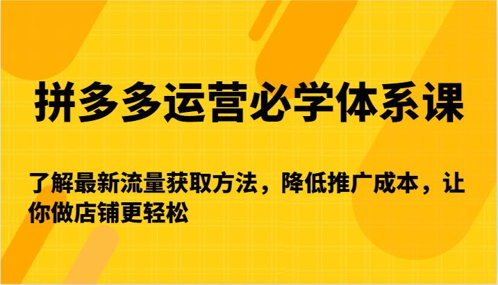 拼多多运营必学体系课-了解最新流量获取方法,降低推广成本,让你做店铺更轻松-轻创社项目网