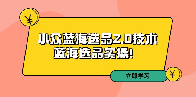 (9189期)拼多多培训第33期:小众蓝海选品2.0技术-蓝海选品实操!-轻创社项目网