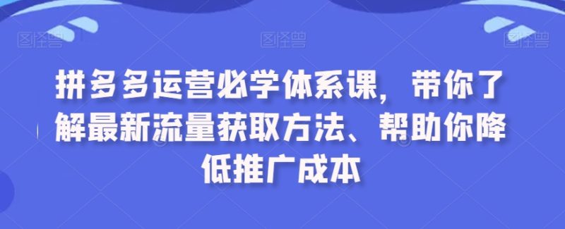 拼多多运营必学体系课,带你了解最新流量获取方法、帮助你降低推广成本-轻创社项目网