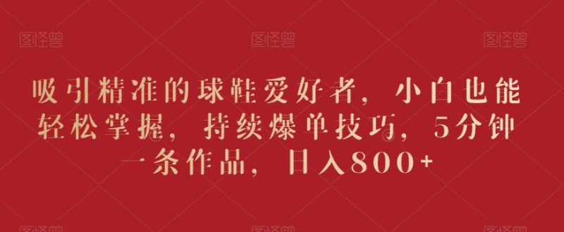 吸引精准的球鞋爱好者,小白也能轻松掌握,持续爆单技巧,5分钟一条作品,日入800+-轻创社项目网