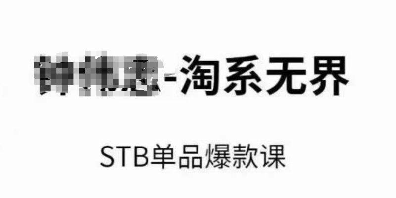 淘系无界STB单品爆款课(2024),付费带动免费的核心逻辑,万相台无界关键词推广/精准人群的核心-轻创社项目网