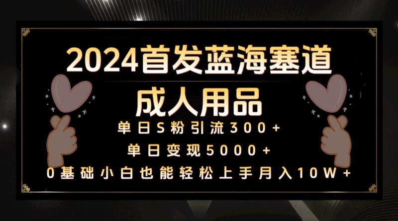 2024首发蓝海塞道成人用品,月入10W+保姆教程-轻创社项目网