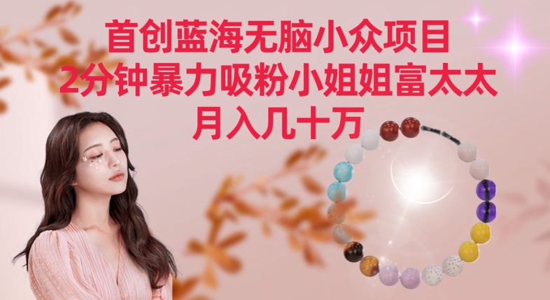 首创蓝海无脑小众项目,2分钟暴力吸粉小姐姐富太太,月入几十万-轻创社项目网