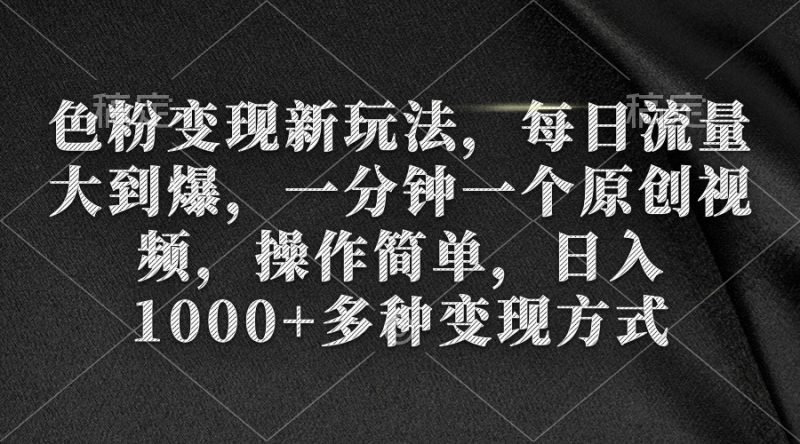 (9282期)色粉变现新玩法,每日流量大到爆,一分钟一个原创视频,操作简单,日入1-轻创社项目网