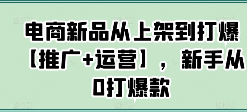 电商新品从上架到打爆【推广+运营】,新手从0打爆款-轻创社项目网