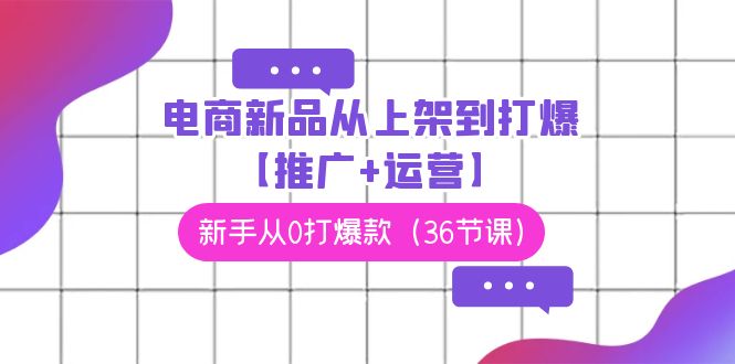 (9286期)电商 新品从上架到打爆【推广+运营】,新手从0打爆款(36节课)-轻创社项目网
