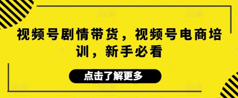 视频号剧情带货,视频号电商培训,新手必看-轻创社项目网
