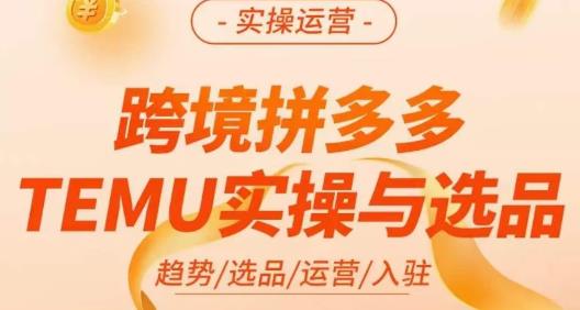 伍跃·跨境拼多多TEMU实操与选品,?趋势/选品/运营/入住(27节完整)-轻创社项目网