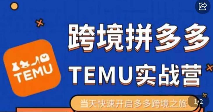 大鹏出海·拼多多跨境temu运营指导,开店注册+选品+核价上架,日出千单实战课-轻创社项目网