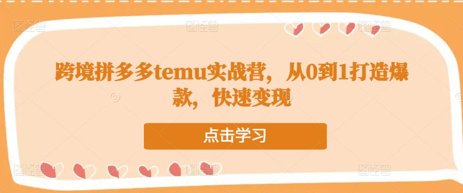 跨境拼多多temu实战营，从0到1打造爆款，快速变现-资源之家