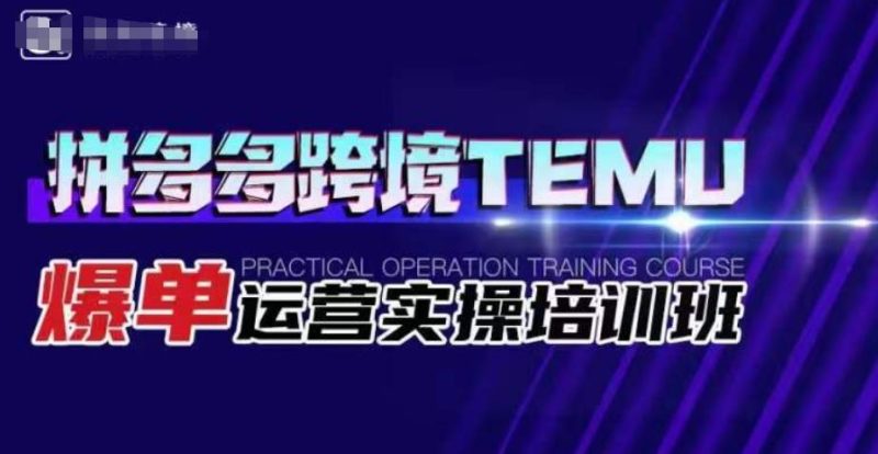 拼多多跨境TEMU爆单运营实操培训班,海外拼多多的选品、运营、爆单-轻创社项目网