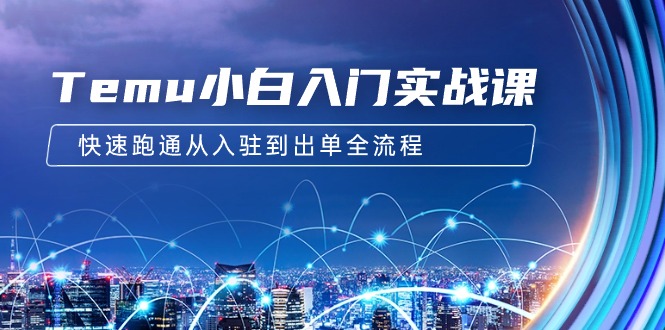 (9295期)Temu小白入门实战课:跨境拼多多电商培训 快速跑通从入驻到出单全流程-12节-轻创社项目网