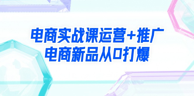 (9313期)电商实战课运营+推广,电商新品从0打爆(99节视频课)-轻创社项目网