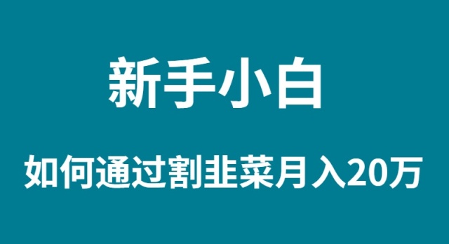 (9308期)新手小白如何通过割韭菜月入 20W-轻创社项目网