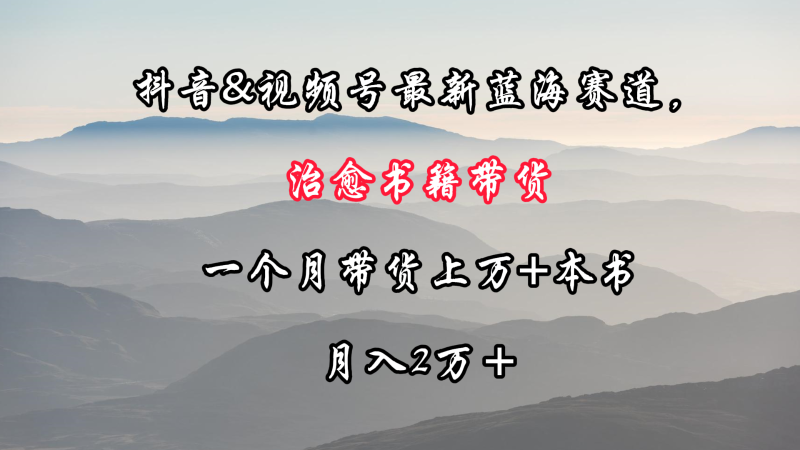 抖音&视频号最新蓝海赛道,治愈书籍带货,一个月带货上万+本书,月入2万+-轻创社项目网