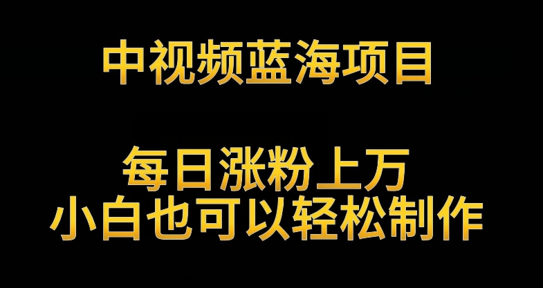 中视频蓝海项目,解读英雄人物生平,每日涨粉上万,小白也可以轻松制作,月入过万不是梦-轻创社项目网