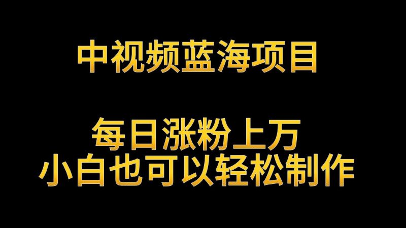 中视频蓝海项目,解读英雄人物生平,每日涨粉上万,小白也可以轻松制作,月入过万-轻创社项目网