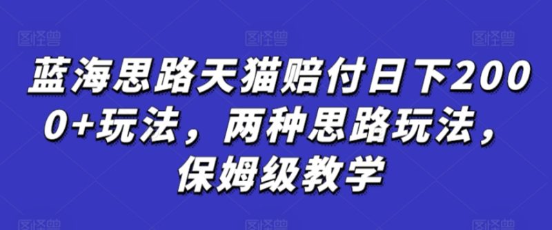 蓝海思路天猫赔付日下2000+玩法,两种思路玩法,保姆级教学【仅揭秘】-轻创社项目网