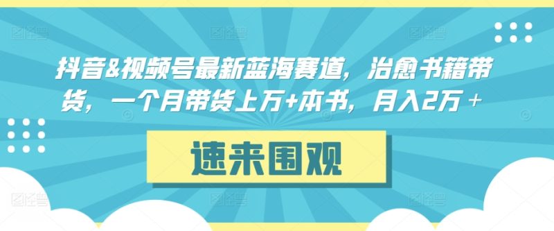 抖音&视频号最新蓝海赛道,治愈书籍带货,一个月带货上万+本书,月入2万+-轻创社项目网