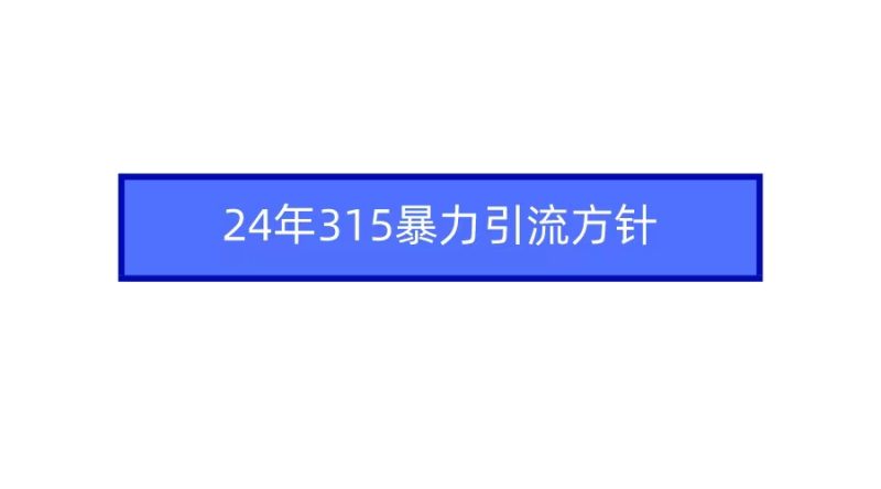 (9398期)2024年315暴力引流方针-轻创社项目网