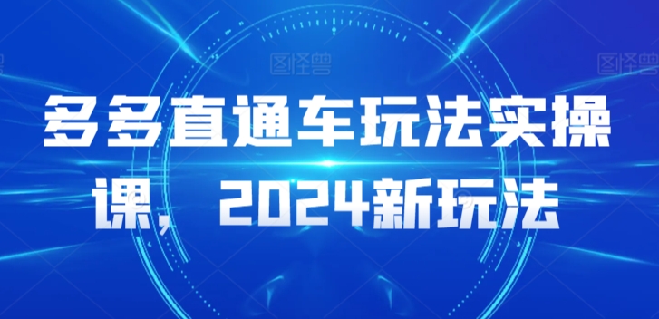 多多直通车玩法实操课,2024新玩法-轻创社项目网